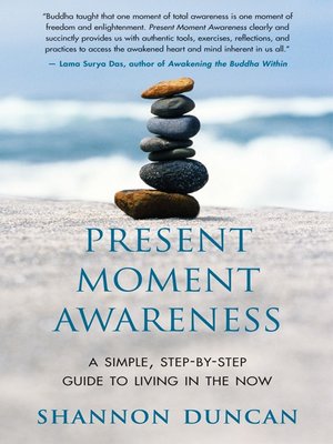 cover image of Present Moment Awareness